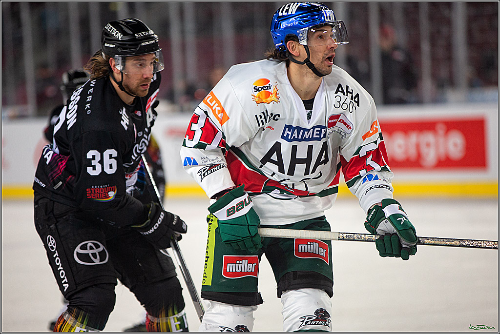 PENNY DEL; Koelner Haie- Augsburger Panther; Koeln, 08.01.2023